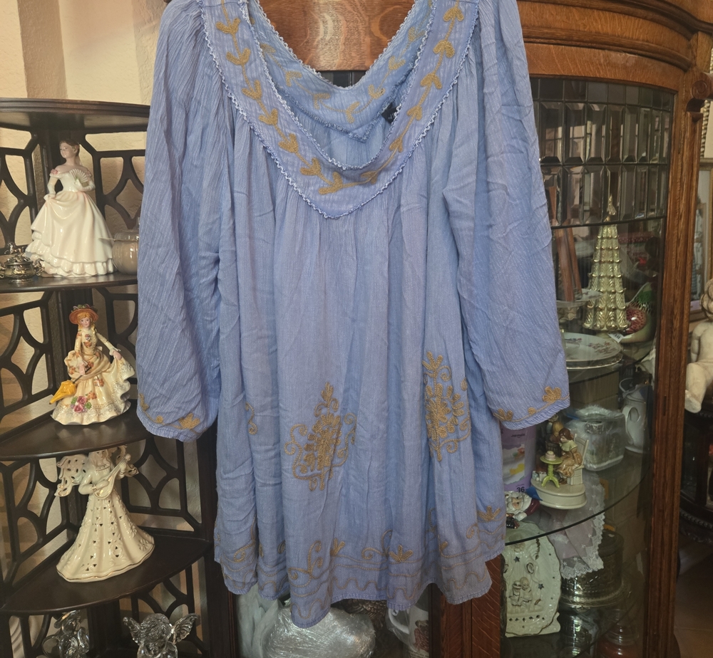 Sacred Threads Light Blue Embroidered Peasant Tunic with Gold Accents
